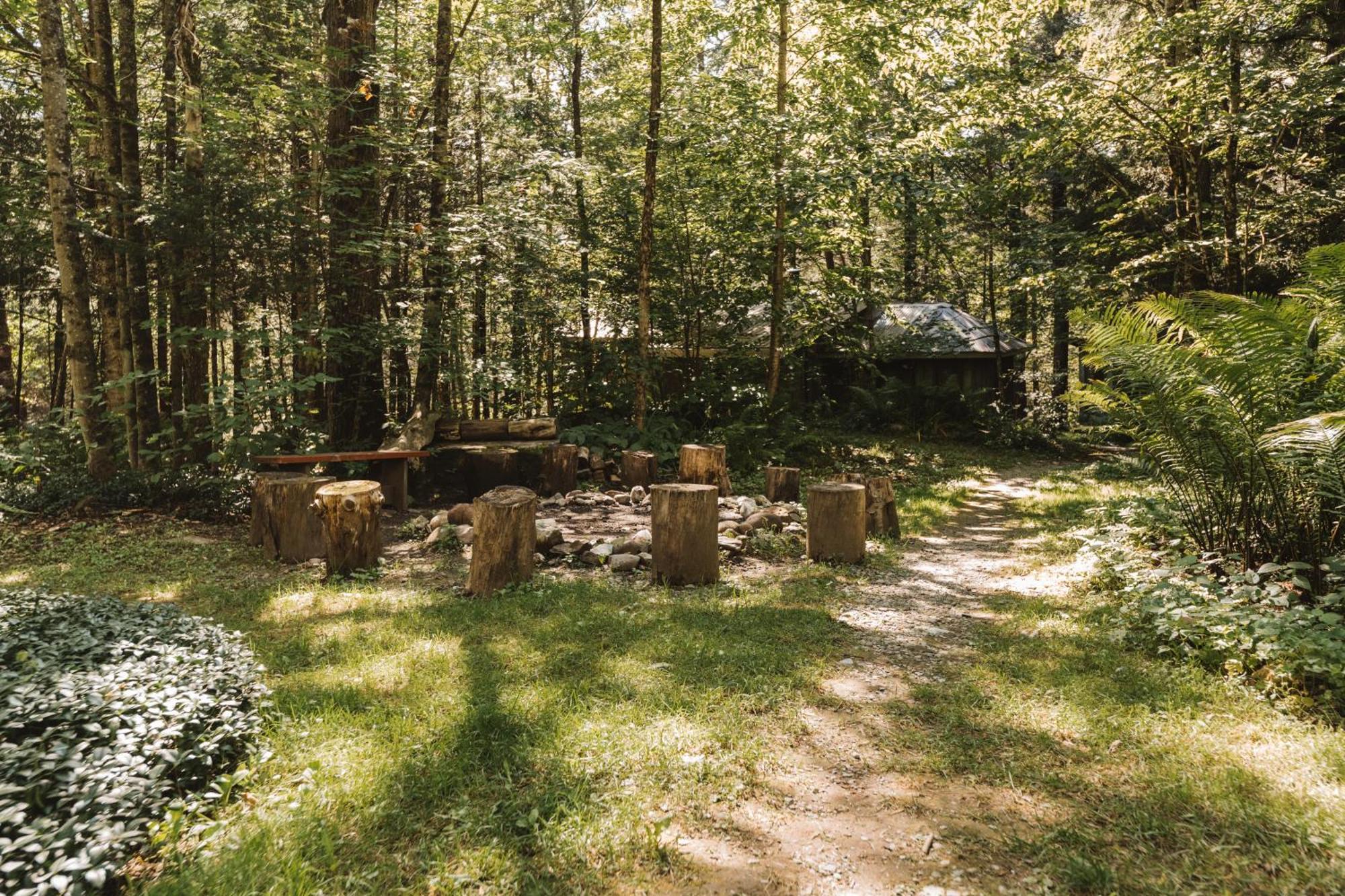 Auberge Yoga Salamandre Lac-Brome Buitenkant foto
